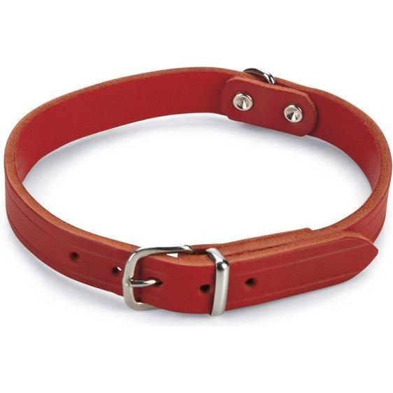 Beeztees BZ LEDERHALSBAND ROT 47X18 (47, Hund, Allgemein), Halsband + Leine