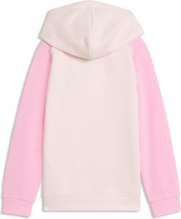 Produktbild Puma SUPER Hoodie TR PS (110)