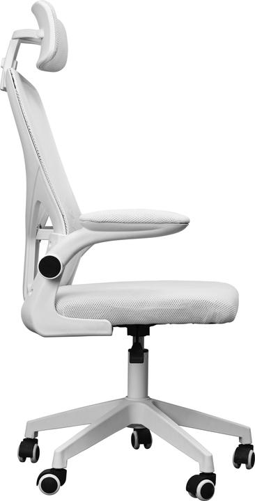 Actual product image Mars Gaming Fauteuil Ergonomique Mgc-Ergo Plus (Blanc)