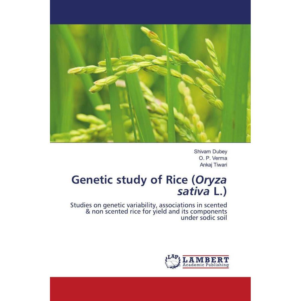 Genetic study of Rice (Oryza sativa L.), Fachbücher von Shivam Dubey, Ankaj Tiwari, O. P. Verma