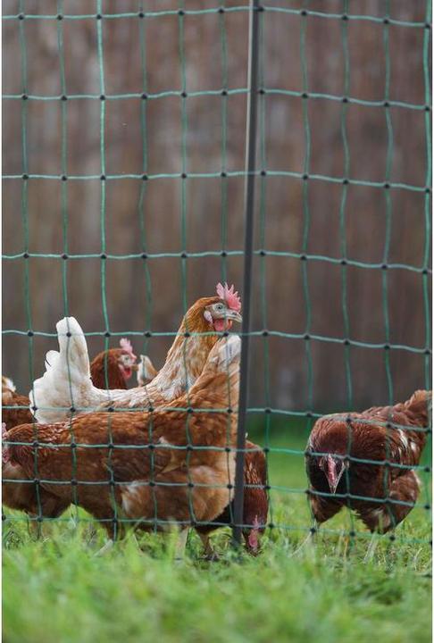 Produktbild AKO PoultryNet