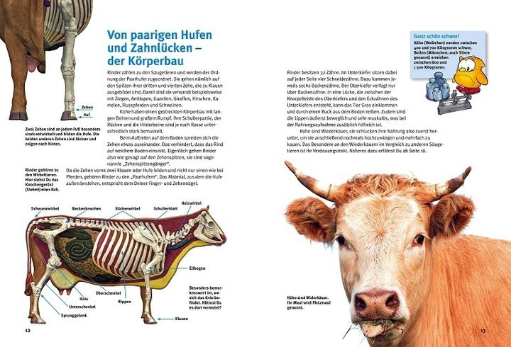 Produktbild Entdecke die Kühe (Deutsch, Fritz Fleege, Jutta Heise, 2018)