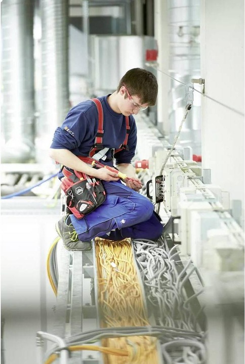 Productafbeelding Wiha Schroevendraaierbitsmagazijn LiftUp electric TORX slimBits in blisterverpakking (Torx (TX))