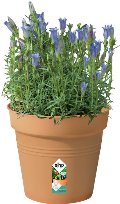 Image du produit Elho Vert de base (17 cm)