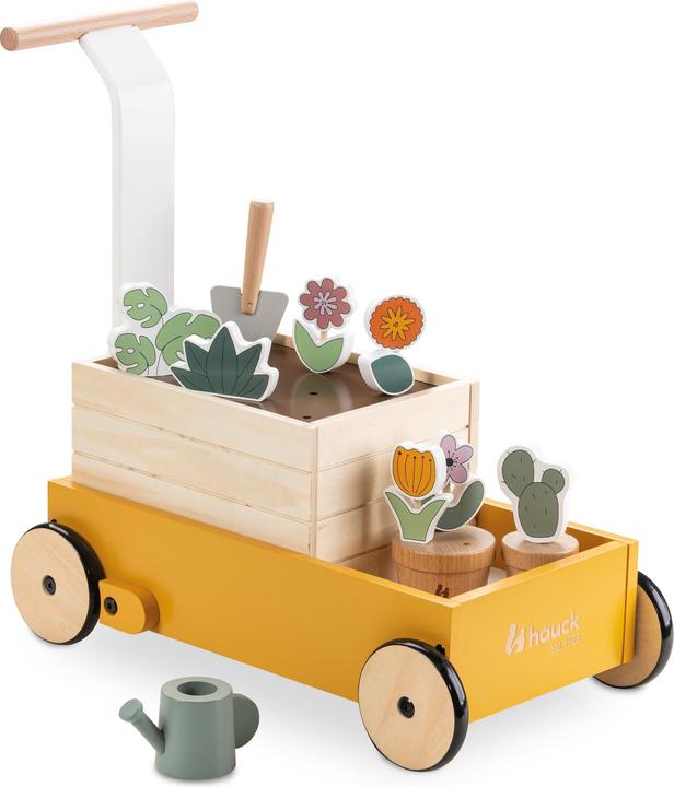 Produktbild Hauck Learn to Walk Plants