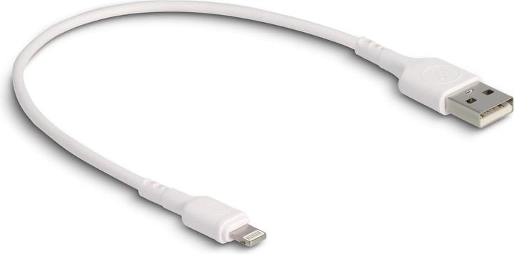 Image du produit Delock USB A – Lightning (0.30 m, USB 2.0)