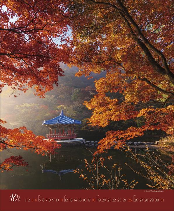 Produktbild AugenblickeimWald2026 (Spezial)