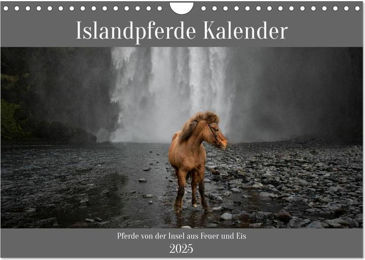 Immagine prodotto Calendario dei cavalli islandesi - Cavalli (A4)