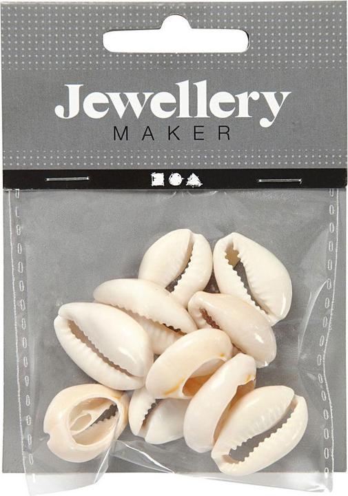 Image du produit Creativ Company Coquillages