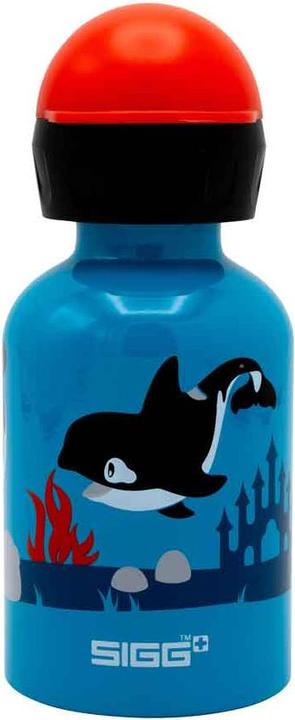 Actual product image Sigg Kbt (0.30 l)