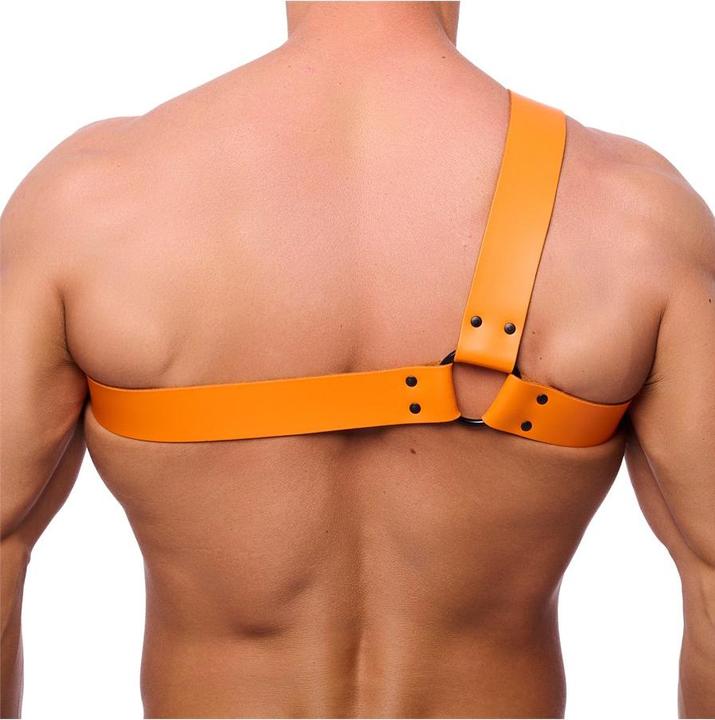 Produktbild The Red Premium Leder-Harness "HALF" (L)