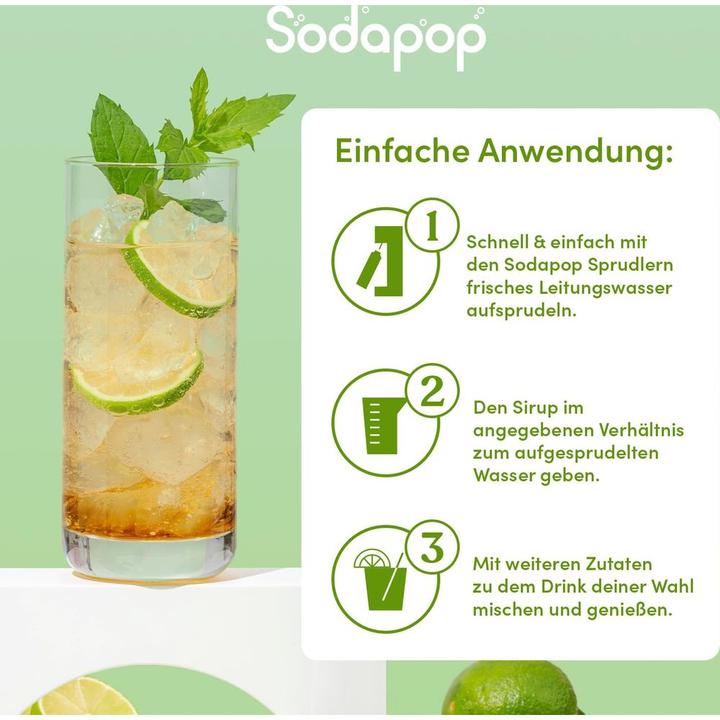 Immagine prodotto Sodapop Sciroppo per bevande Sciroppo per bar Ginger Ale