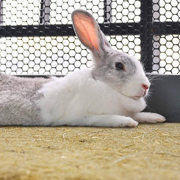 Actual product image Nobby Hemp mat (0.43 kg, Bedding)