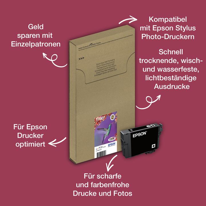 Image du produit Epson T0807 (C, CF, LC, LM, M, Y)