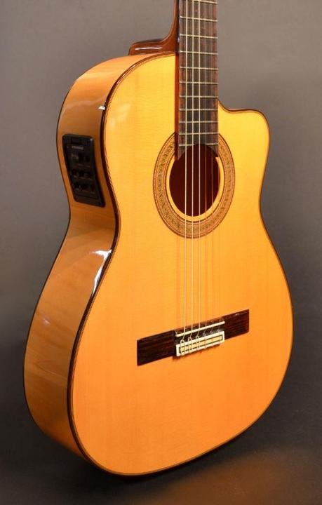 Actual product image Esteve 5FCE (Semi acoustic guitar, Spruce, Rosewood)