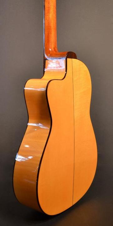 Actual product image Esteve 5FCE (Semi acoustic guitar, Spruce, Rosewood)