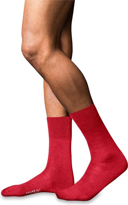 Immagine prodotto Falke No. 6 SO (39 - 40)