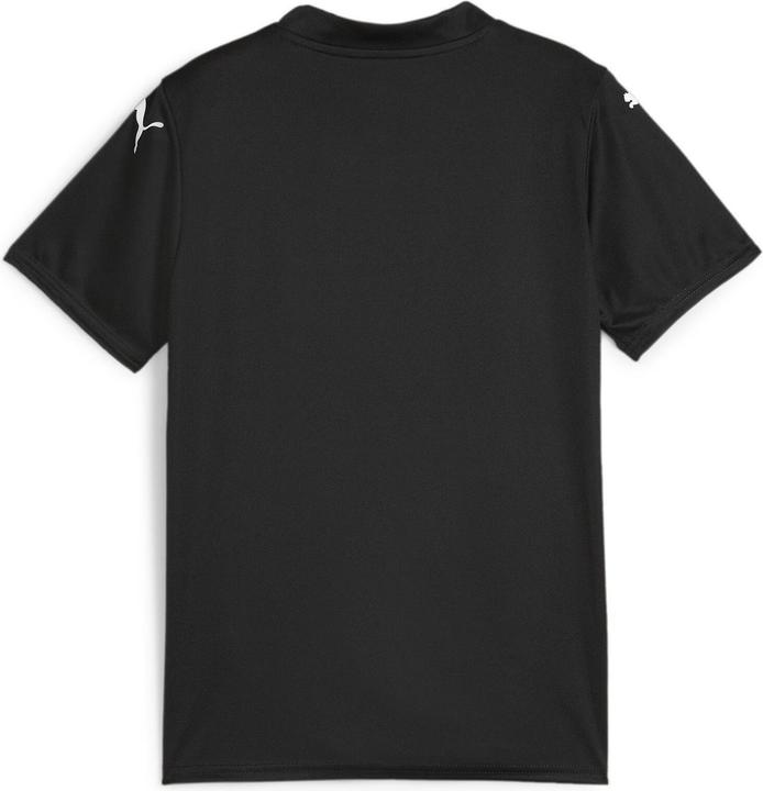 Produktbild Puma teamGLORY Jersey Jr (140)