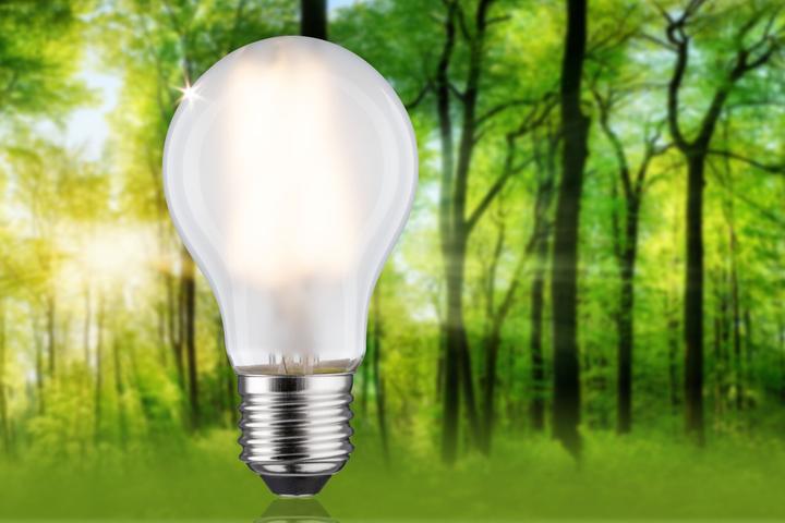 Produktbild Paulmann AGL Eco-Line Filament (E27, 5 W, 1055 lm, 1 x, A)