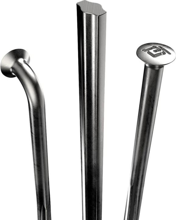 Immagine prodotto DT Swiss Complite SP Speichen 2.0/1.75/2.0x1.3 silber