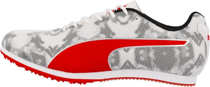 Actual product image Puma evoSPEED Star 8 (42.5)