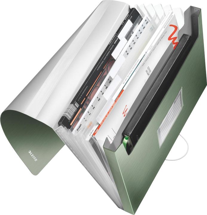 Produktbild Leitz Ordnungsmappe (A4, 1x)