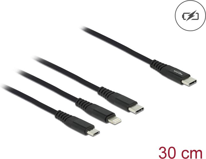 Image du produit Delock 3in1 (0.30 m, USB 2.0)