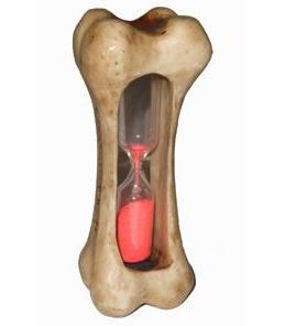 Actual product image Tamar Figure skeleton bone hourglass
