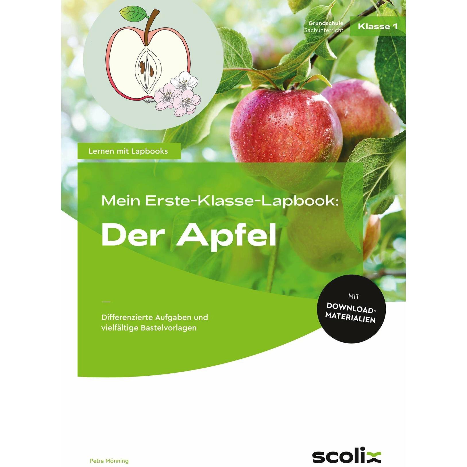 Thumbnail - Mönning:Mein Erste-Klasse-Lapbook: Der, Schulbücher von Petra Mönning