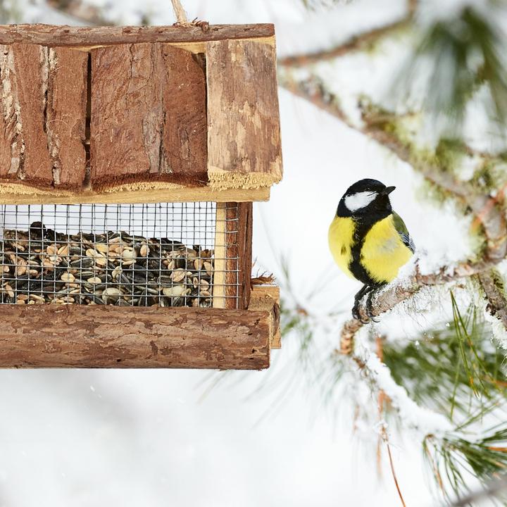 Actual product image Relaxdays 6-piece canvas set