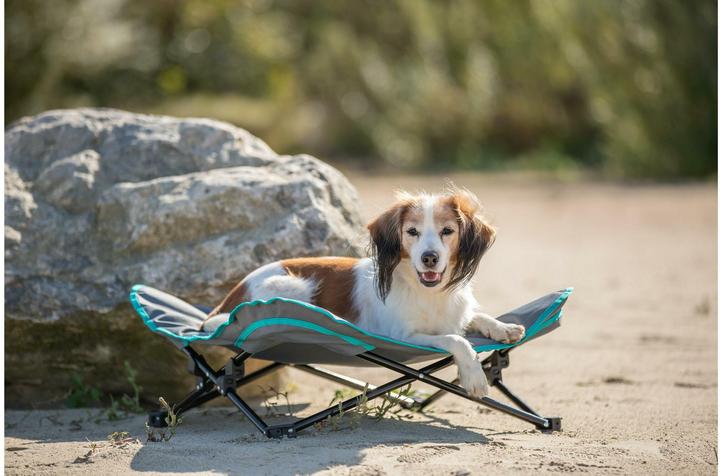Actual product image Trixie Camping bed (Dog)