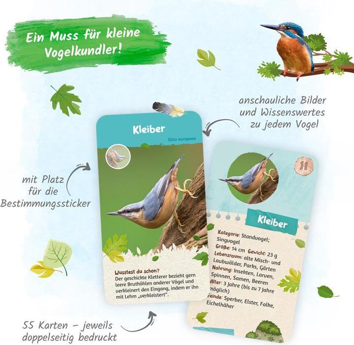 Produktbild 55 Lernkarten Heimische Vögel (Deutsch)