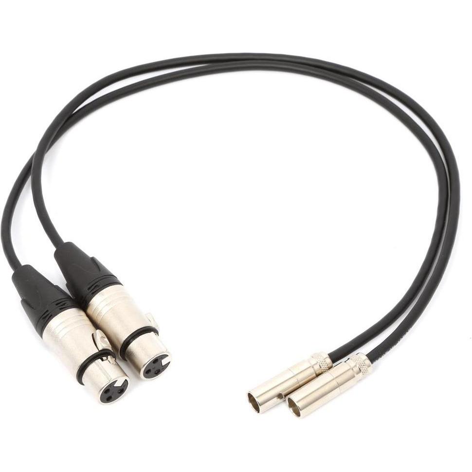 Blackmagic MiniXLR (0.50 m, XLR), Cavo audio