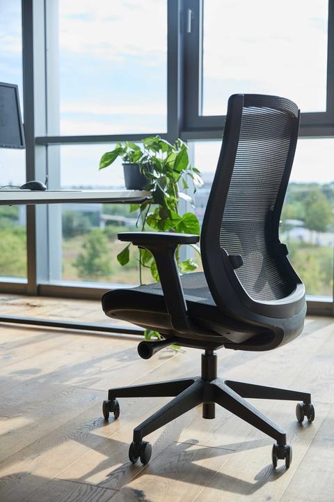 Actual product image ofinto Ergo (43 - 53 cm)