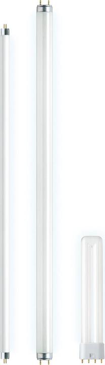 Actual product image Osram Fluorescent tube (G5, 24 W, 1750 lm, 1 x, G)