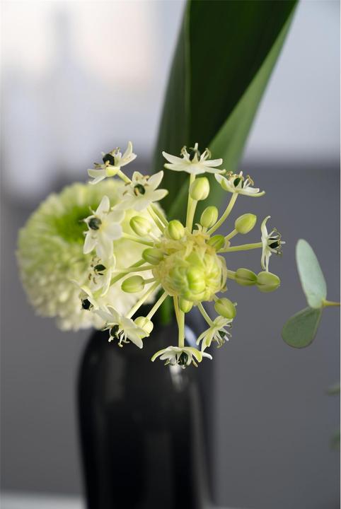 Image du produit Leonardo Milano Vase (1 x, 9 x 9 x 21 cm, 1.80 l)
