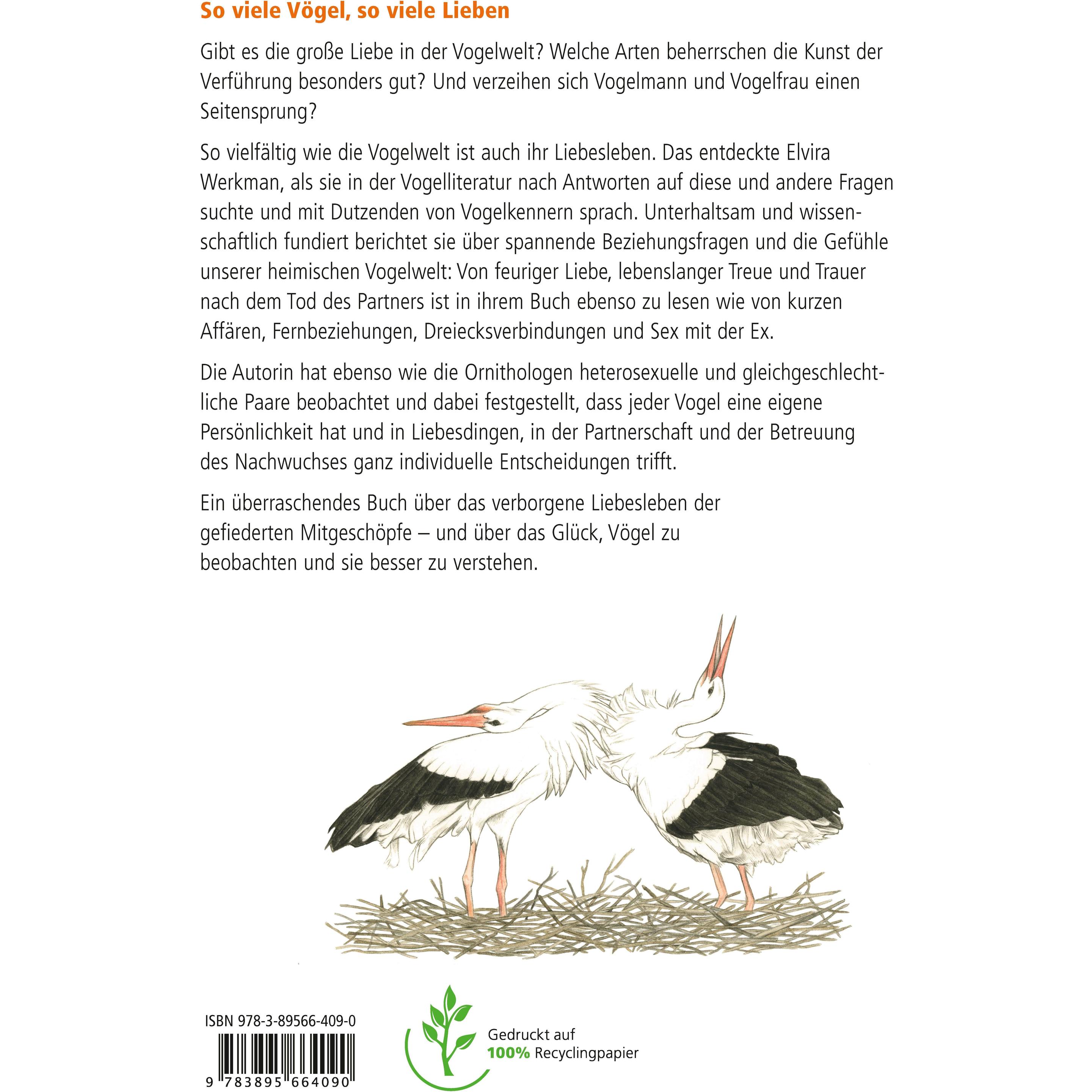 Thumbnail - Vögel und die Liebe, Fachbücher von Stefani den Ridder, Stephanie Wloch, Elvira Werkman