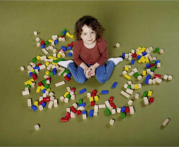 Actual product image Eichhorn Wooden building blocks 75 years