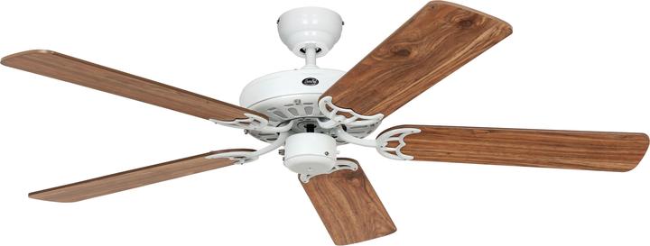 White / Oak