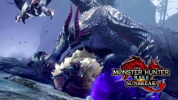 Immagine prodotto Nintendo Set Monster Hunter Rise + Sunbreak (Switch, Multilingue)