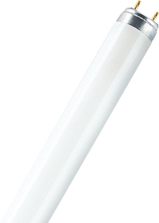 Actual product image Osram Lumilux (G13, 18 W, 1350 lm, 1 x, G)