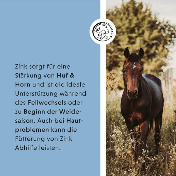 Produktbild Annimally Zink Pellets - Nachfüllpackung (2000 g)