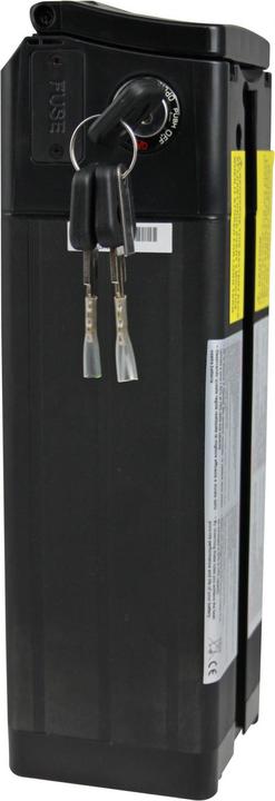 Saxonette Pile de rechange (Batterie pour vélo électrique)