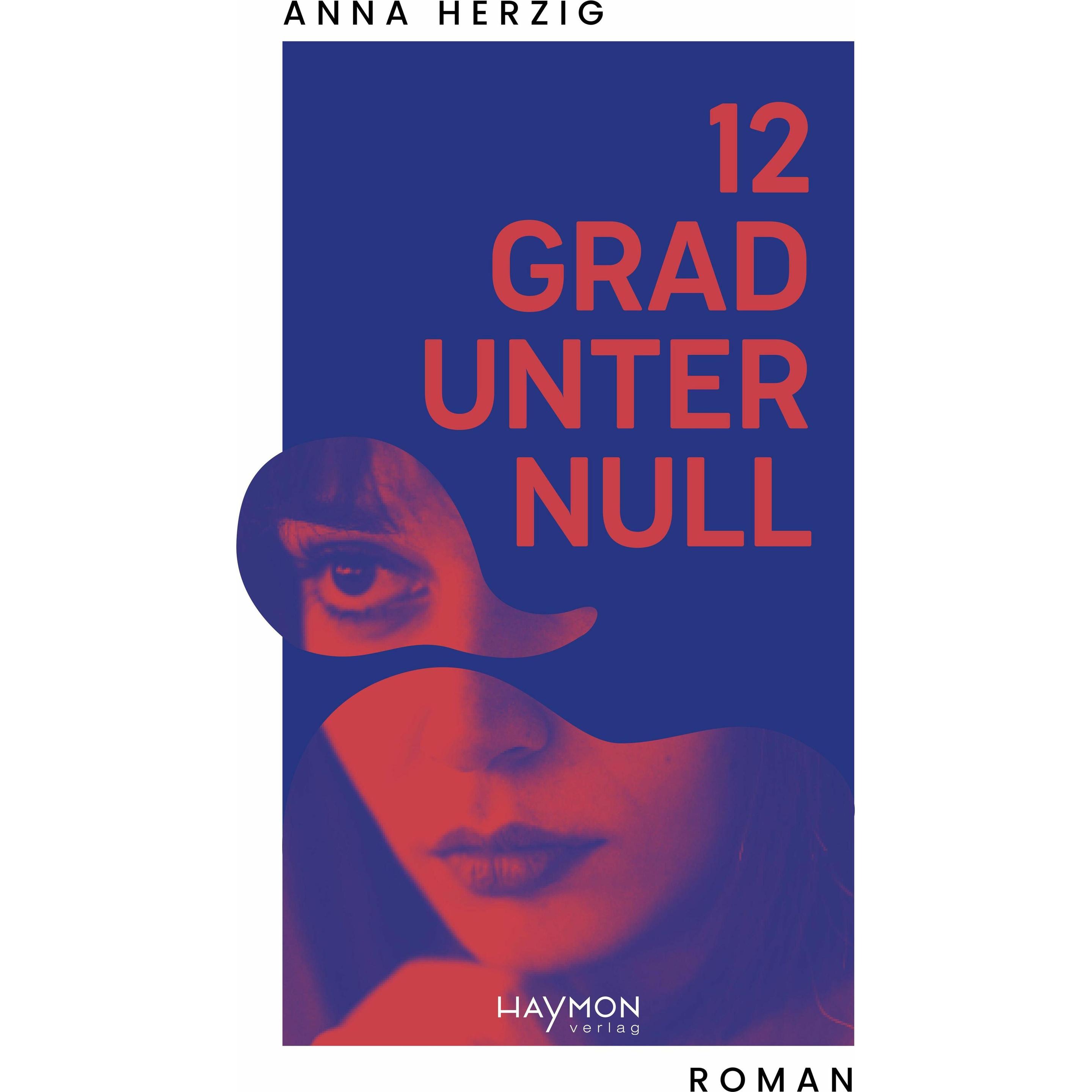 12 Grad unter Null, Belletristik von Anna Herzig