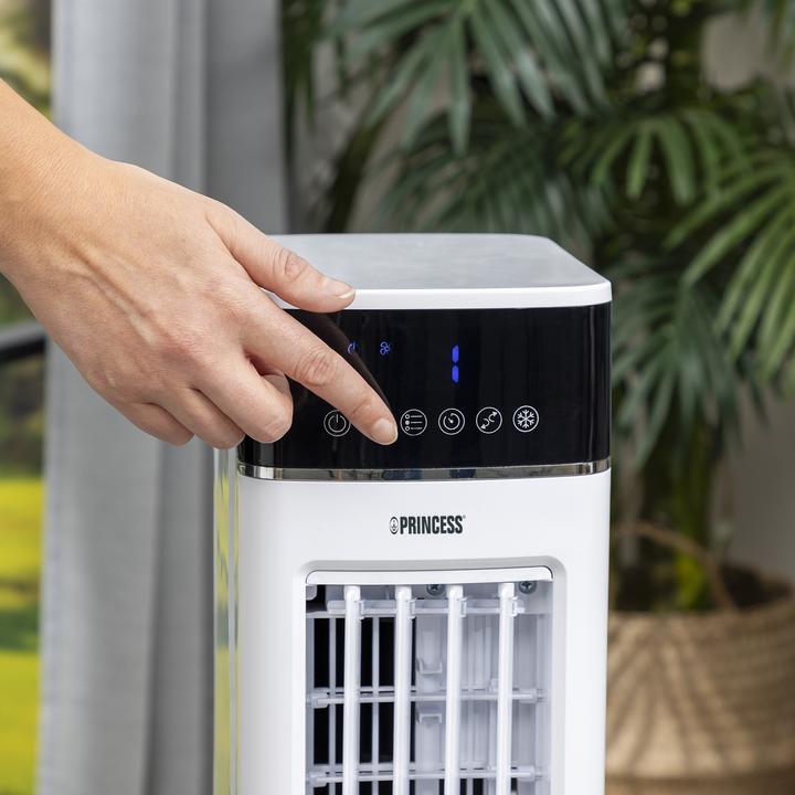 Actual product image Princess Air cooler 357250