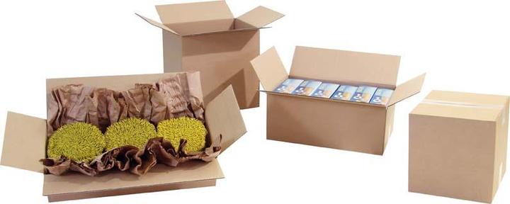 Image du produit Transpak Carton Trans-Pak 1 cannelure, lot de 25, 430x305x180mm, A3, Q.1.3