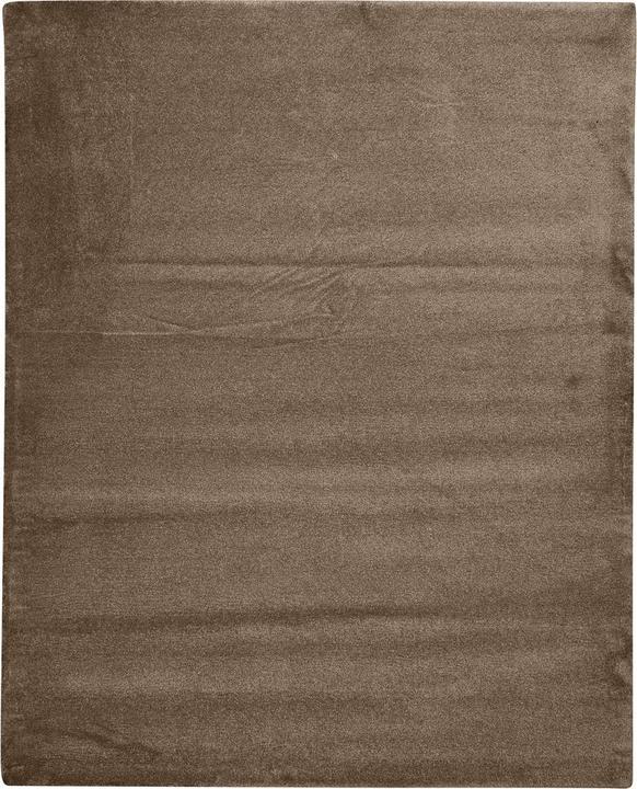 Produktbild Johann Jakob Sofia (90 x 150 cm)