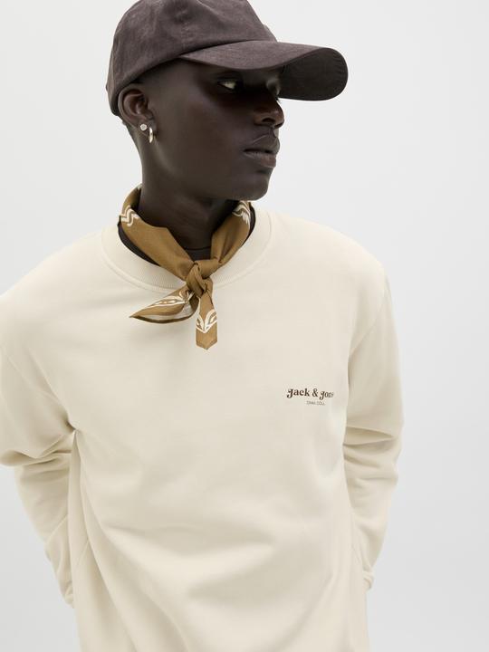 Produktbild Jack & Jones Jjedover Print Sweat Crew Neck (S)