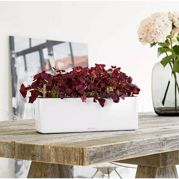 Actual product image Lechuza Cube Glossy Triple (14 cm)
