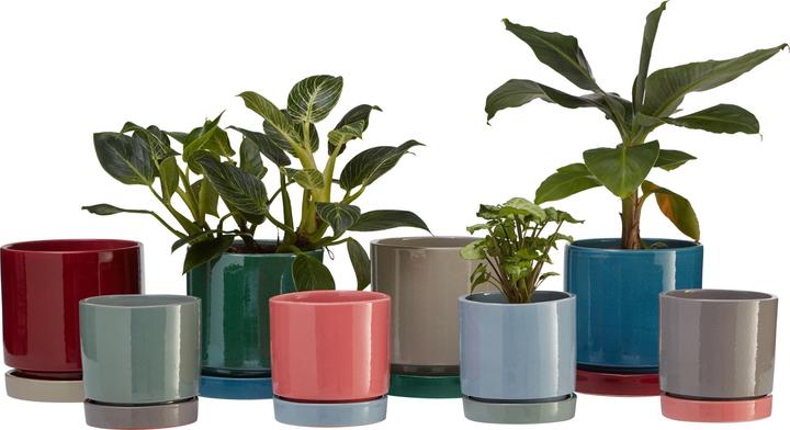 Image du produit micasa Amaya (17 cm)